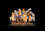 Aspen Birch Vented Gas Log