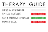 Bullfrog Spa AcuTherapy JetPak