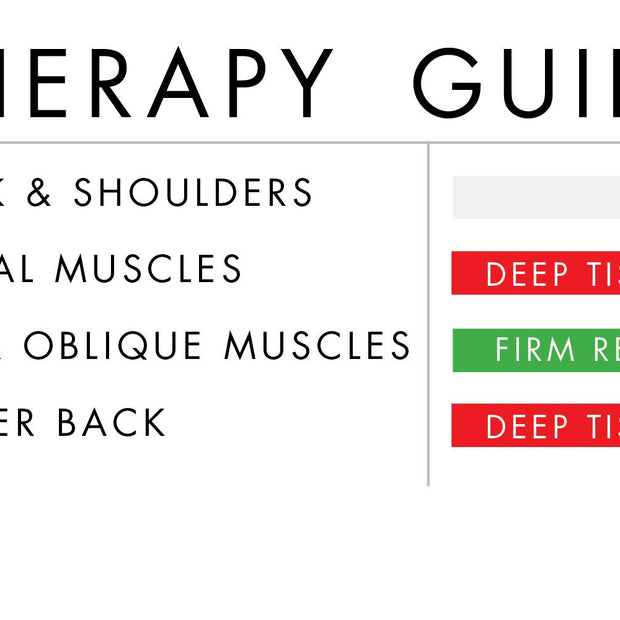 Bullfrog Spa AcuTherapy JetPak